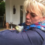 Da hat jemand einen Vogel